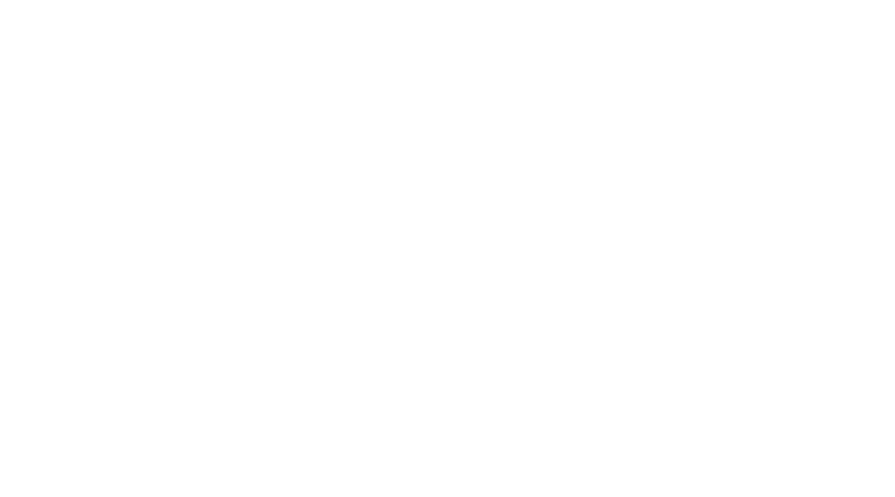 Гномы. Новогодний беспредел