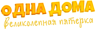 Одна дома: Великолепная пятерка